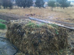 2 days later, the pile is steaming at sunrise.