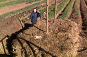 turning_compost Turing compost is a great way to warm-up on a winters day