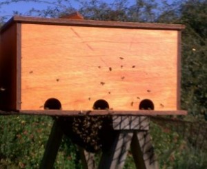 Newly completed hive, not even dry but the bees are moving in already Newly completed hive, not even dry but the bees are moving in already