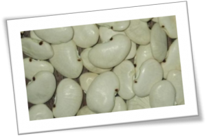 Dried Hereboontjies