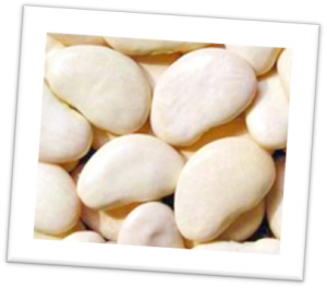 Apparently these are the original Lima beans from Peru. Apparently these are the original Lima beans from Peru.