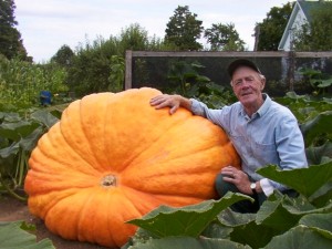 We supply you with special Atlantic Giant seed to allow you to grow a potential winner. We supply you with special Atlantic Giant seed to allow you to grow a potential winner.