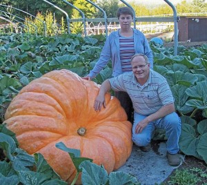 A Giant Pumpkin grown by Jack and Sherry LaRue, weighing in at over 500 kg's