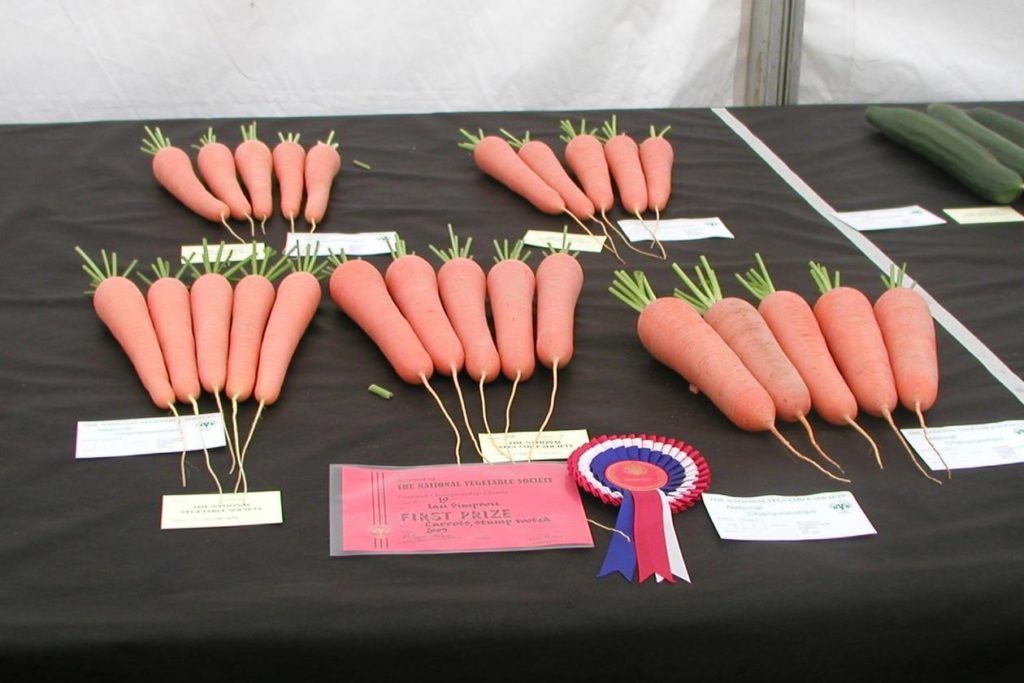 Show-Carrots