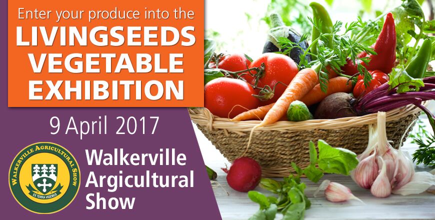 Come and show off your produce at the 2017 Livingseeds Vegetable Exhibition.