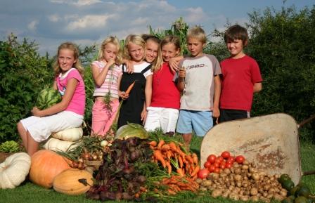 harvest_kids